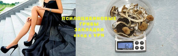 индика Бронницы