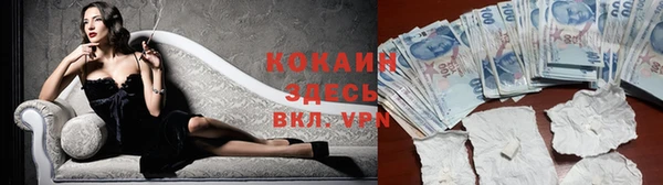 индика Бронницы