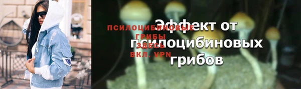 индика Бронницы