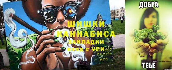 индика Бронницы