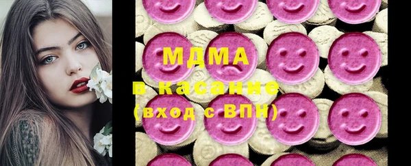 индика Бронницы