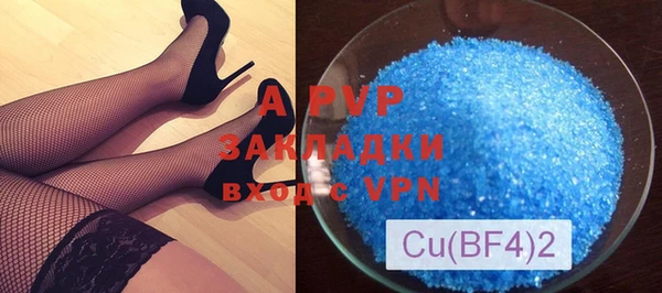 индика Бронницы