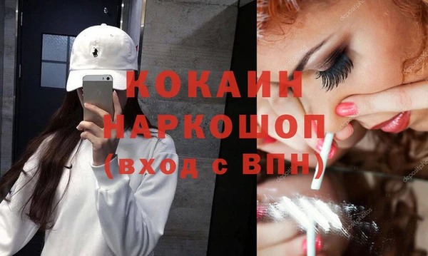 индика Бронницы