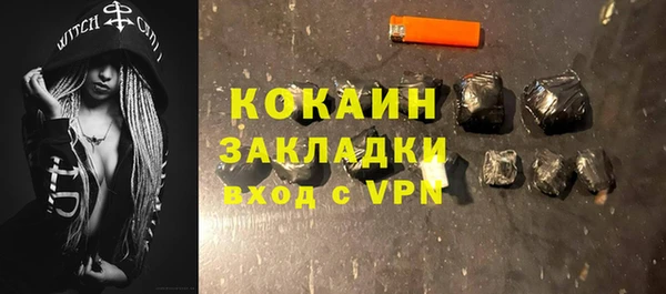 индика Бронницы